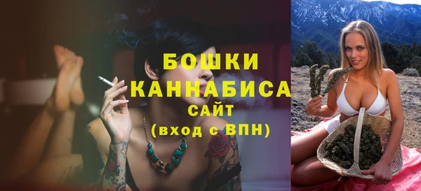 винт Инта