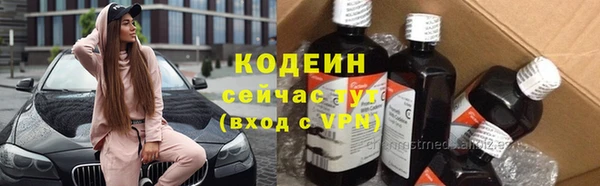 винт Инта