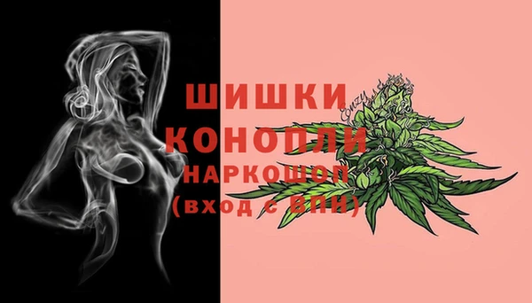 эйфоретик Тында