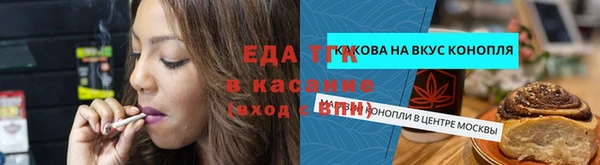 первитин Инсар