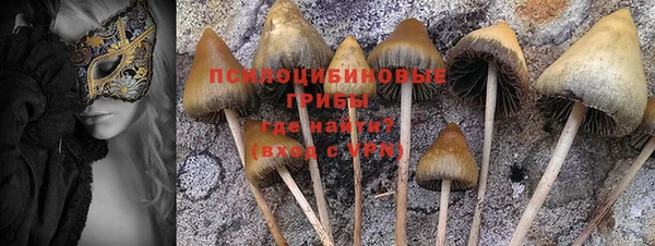 винт Инта