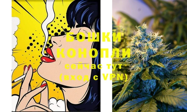 винт Инта