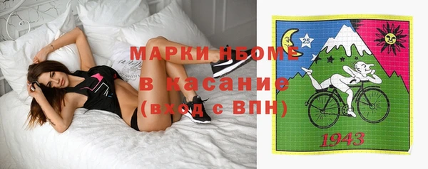 винт Инта